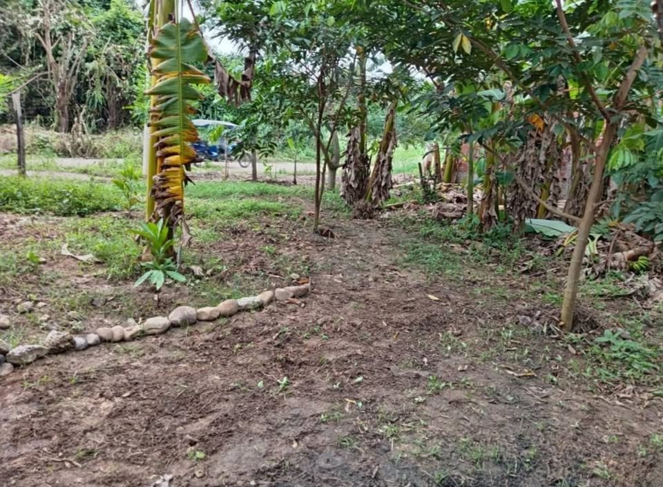 Lote en Tarapoto, San Martín — foto 6