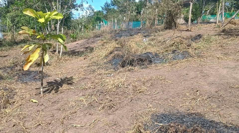 Lote en Moyobamba, San Martín — foto 2
