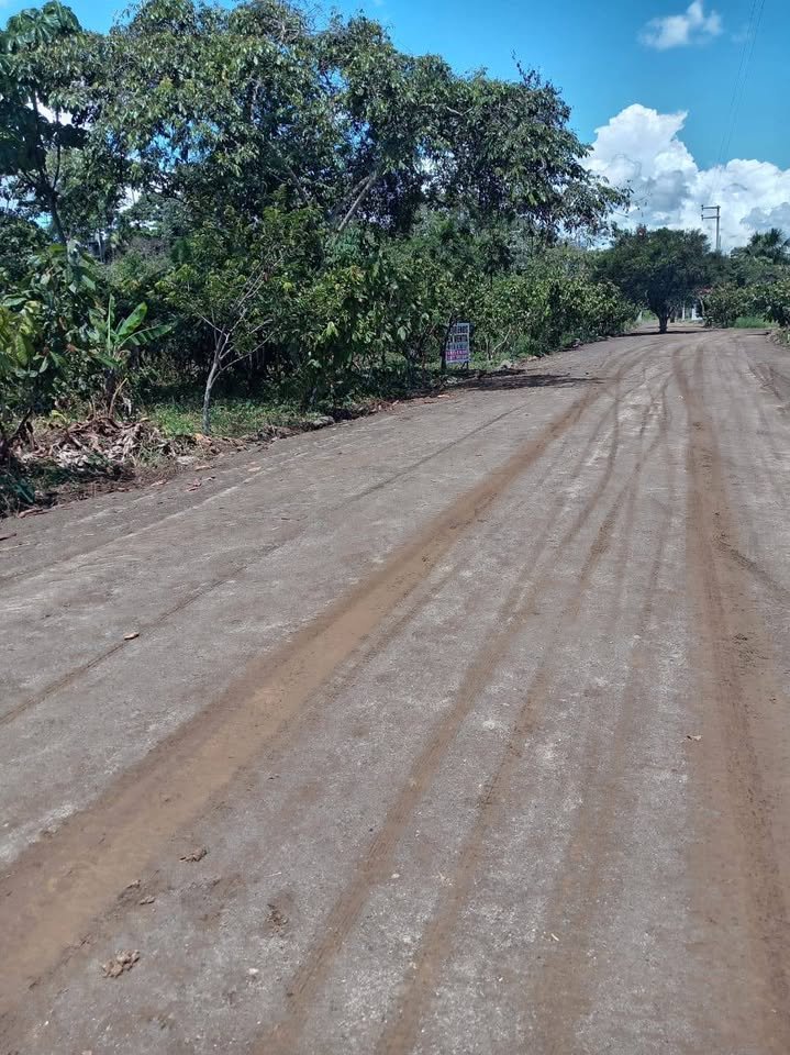 Chacra en Luyando, Huánuco — foto 2