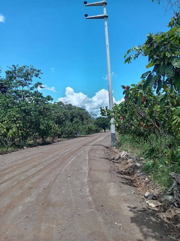 Chacra en Luyando, Huánuco — foto 4