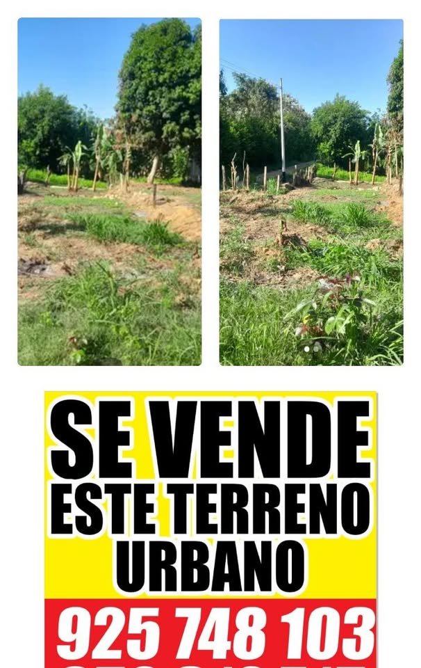 Lote en Tarapoto, San Martín — foto 2