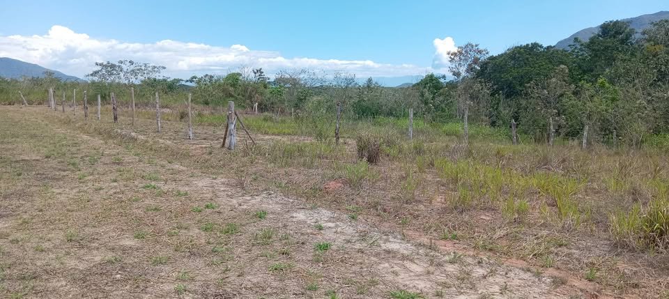 Lote en Moyobamba, San Martín — foto 4