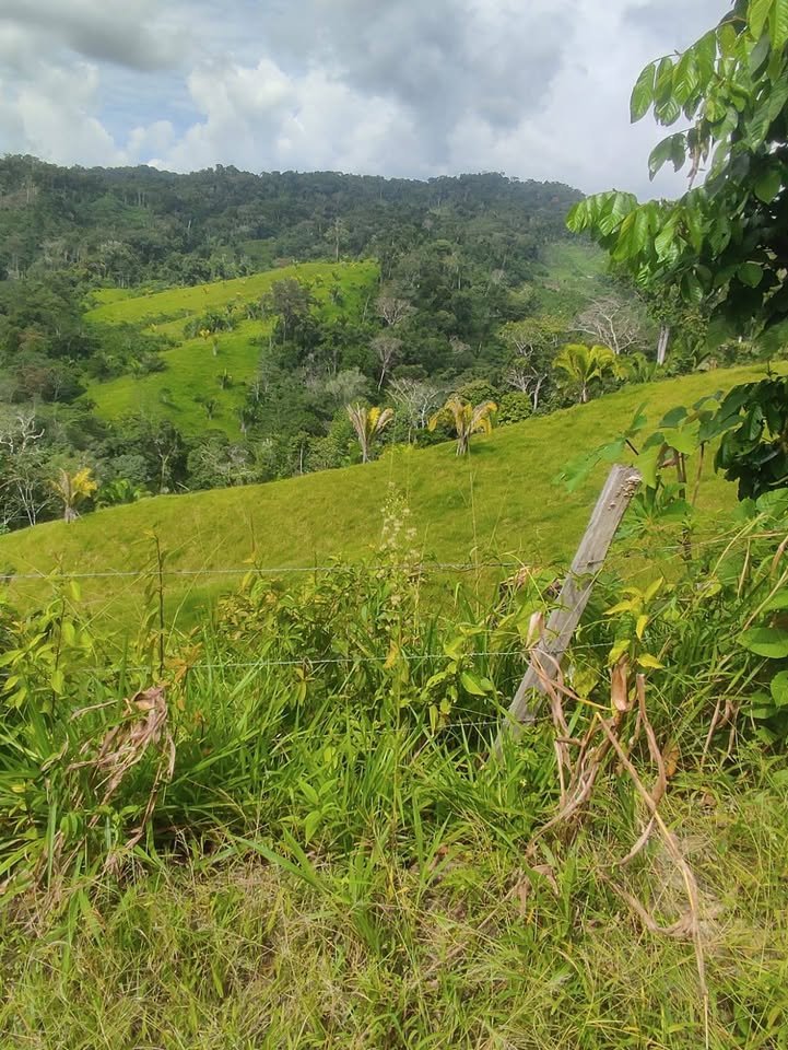 Chacra en Moyobamba, San Martín — foto 3