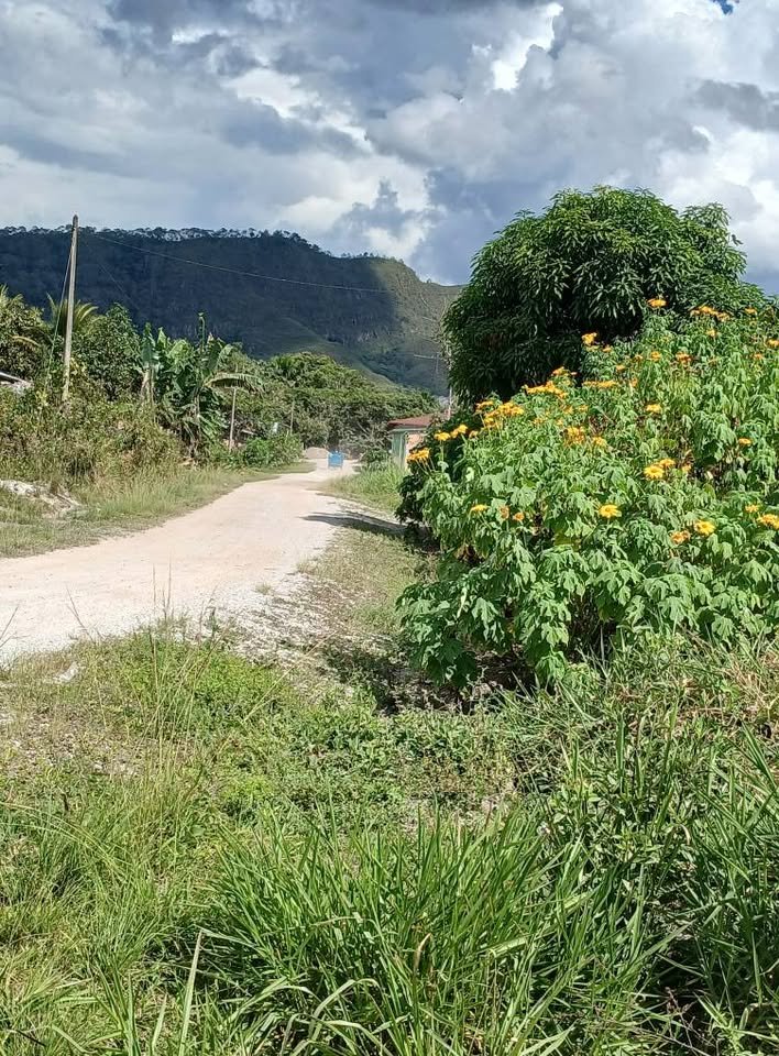 Terreno en Rioja, San Martín — foto 2