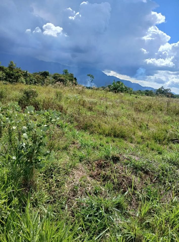 Terreno en Rioja, San Martín — foto 4