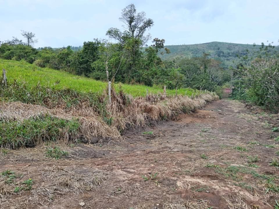 Terreno en La Banda de Shilcayo, San Martín — foto 2