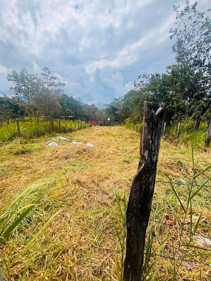 Lote en Tarapoto, San Martín — foto 3