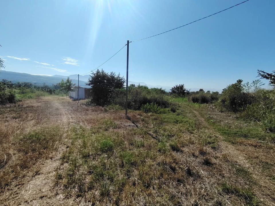 Lote en Tarapoto, San Martín — foto 3