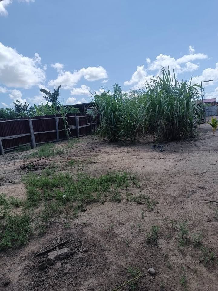 Lote en Callería, Ucayali — foto 4