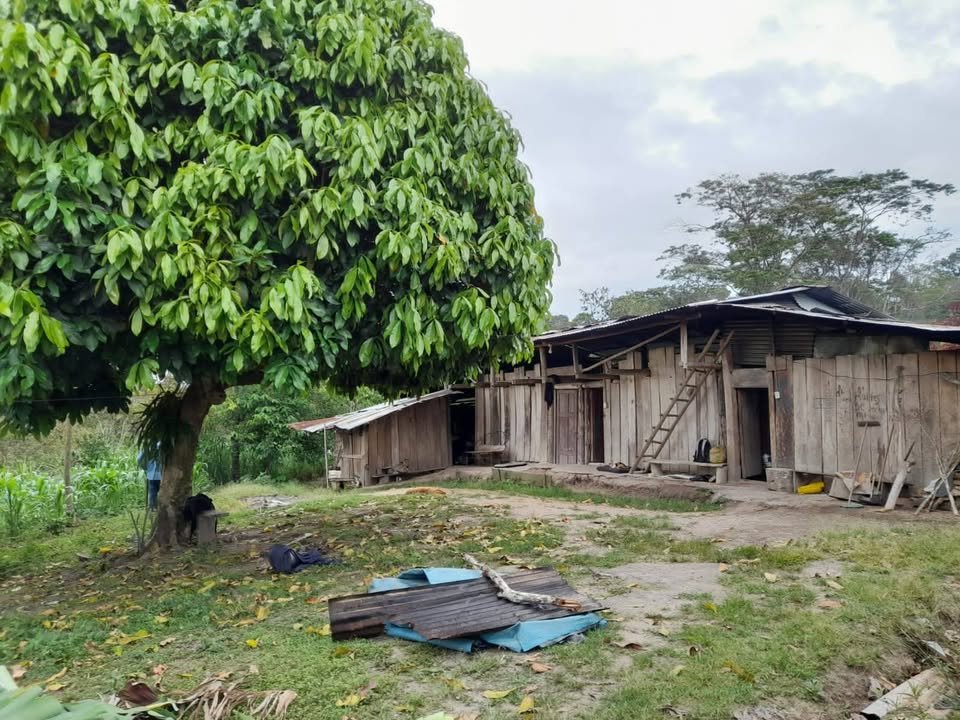 Finca / fundo en Moyobamba, San Martín — foto 6