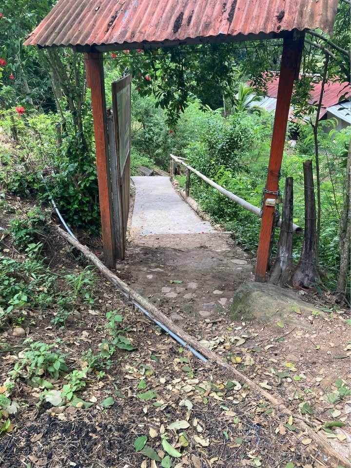 Chacra en Lamas, San Martín — foto 3