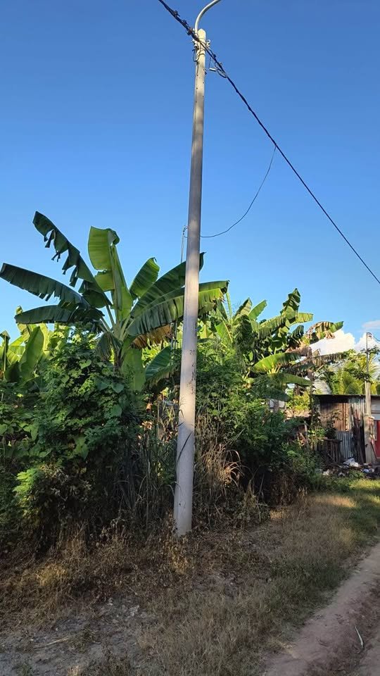 Lote en Tarapoto, San Martín — foto 5