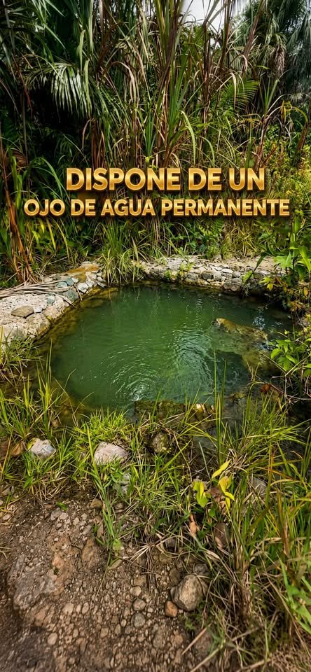Chacra en Rioja, San Martín — foto 3