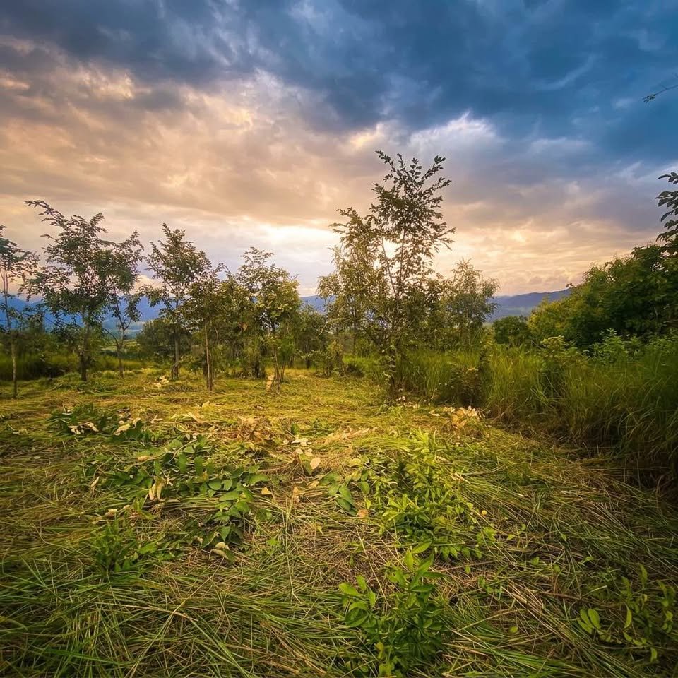 Lote en La Banda de Shilcayo, San Martín — foto 3