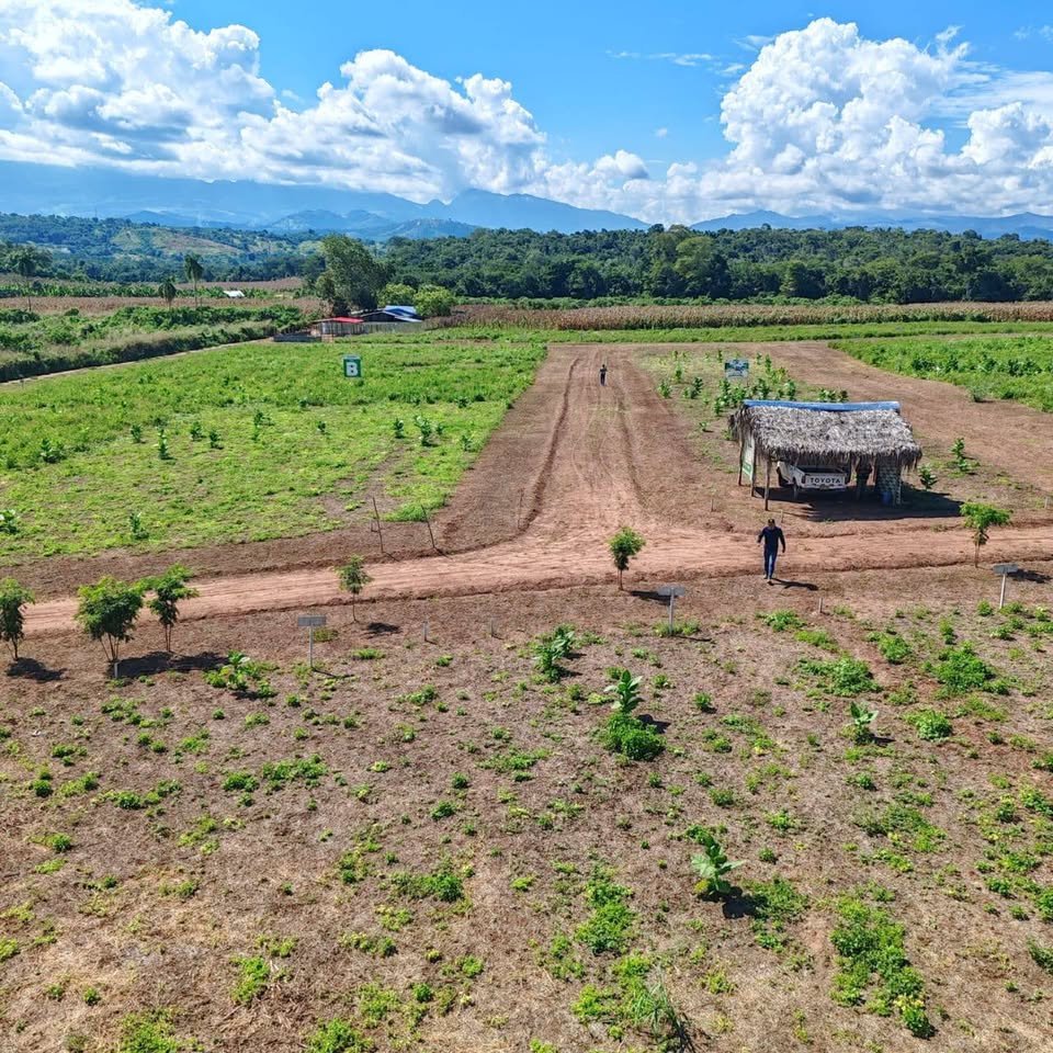 Lote en Tarapoto, San Martín — foto 4