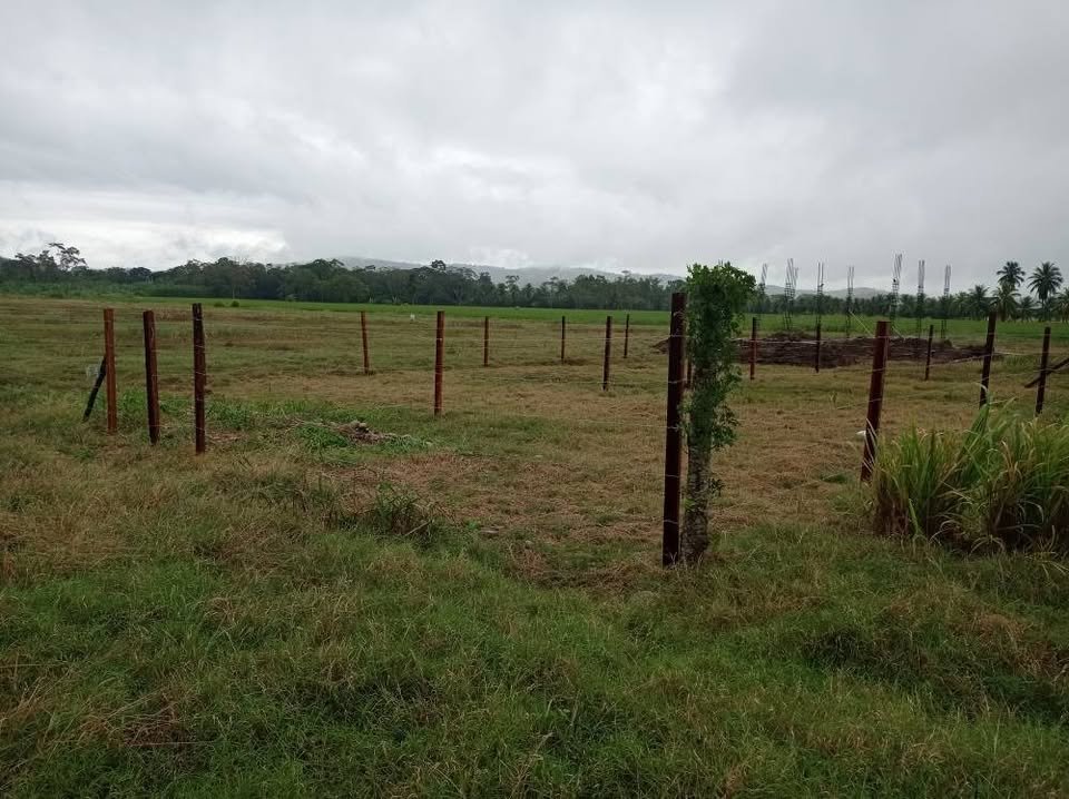 Lote en Cacatachi, San Martín — foto 2
