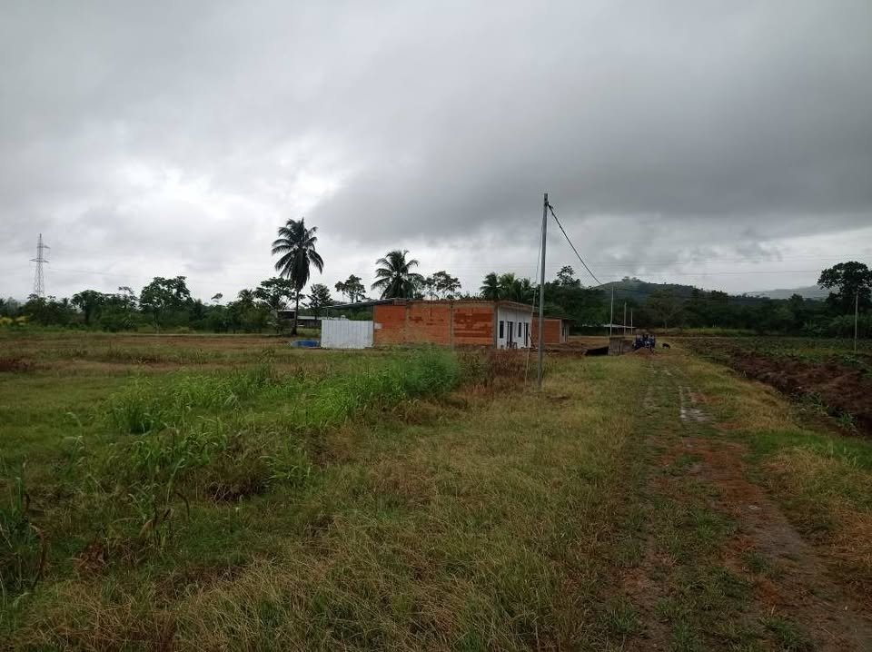 Lote en Cacatachi, San Martín — foto 3
